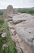 The tomb of giants, Sa Ena 'e Thomes